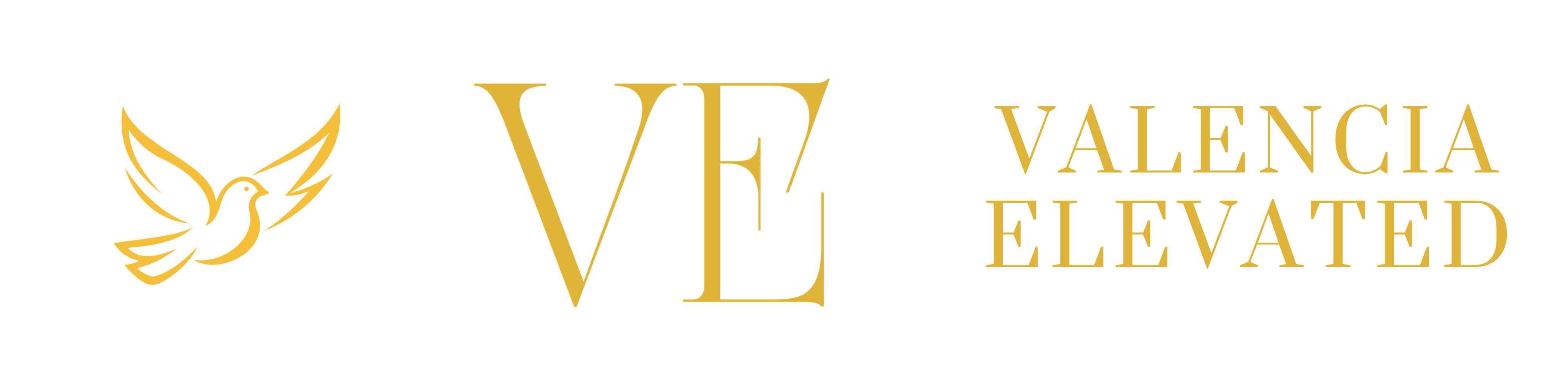 Valencia Elevated logo